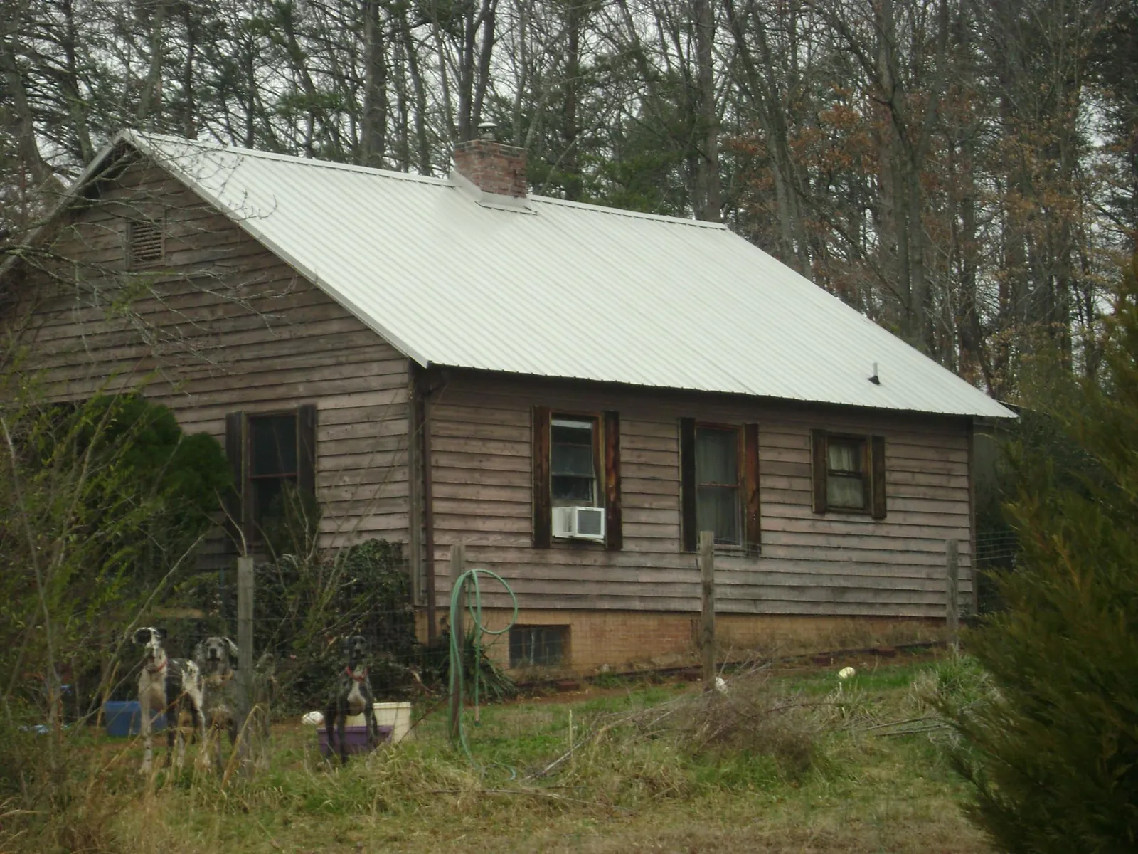 White metal roof on an old wood sided farmhouse, from a Metal Roof Installation job in Big Sky